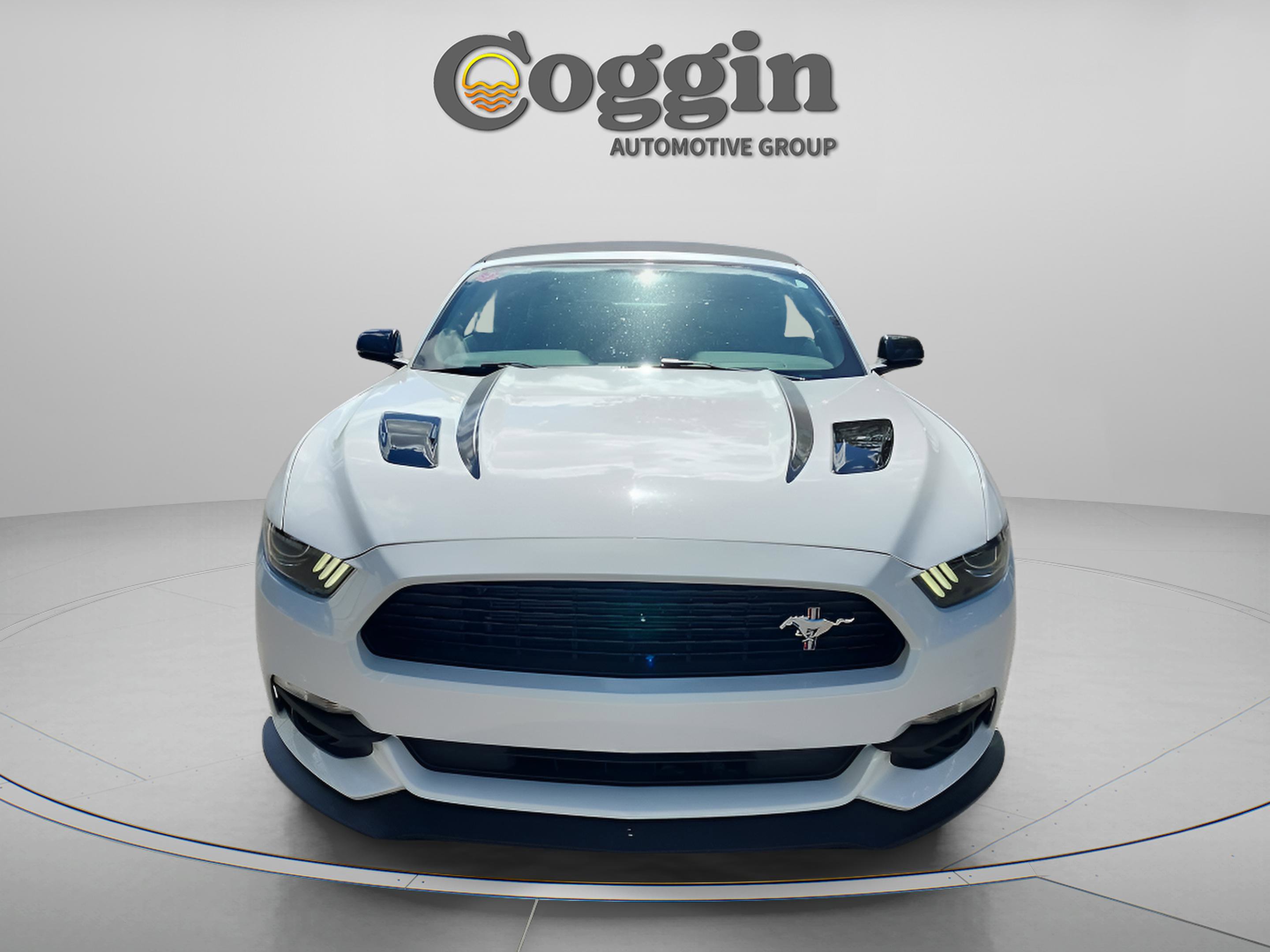 Used 2016 Ford Mustang GT Premium w/ Equipment Group 401A image 9