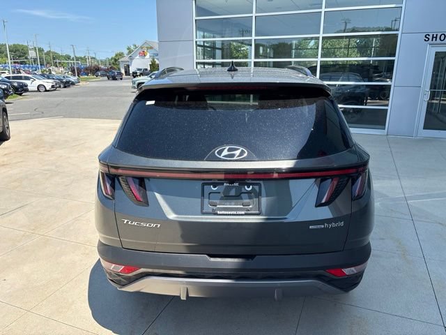 Used 2024 Hyundai Tucson Limited AWD/4WD image 6