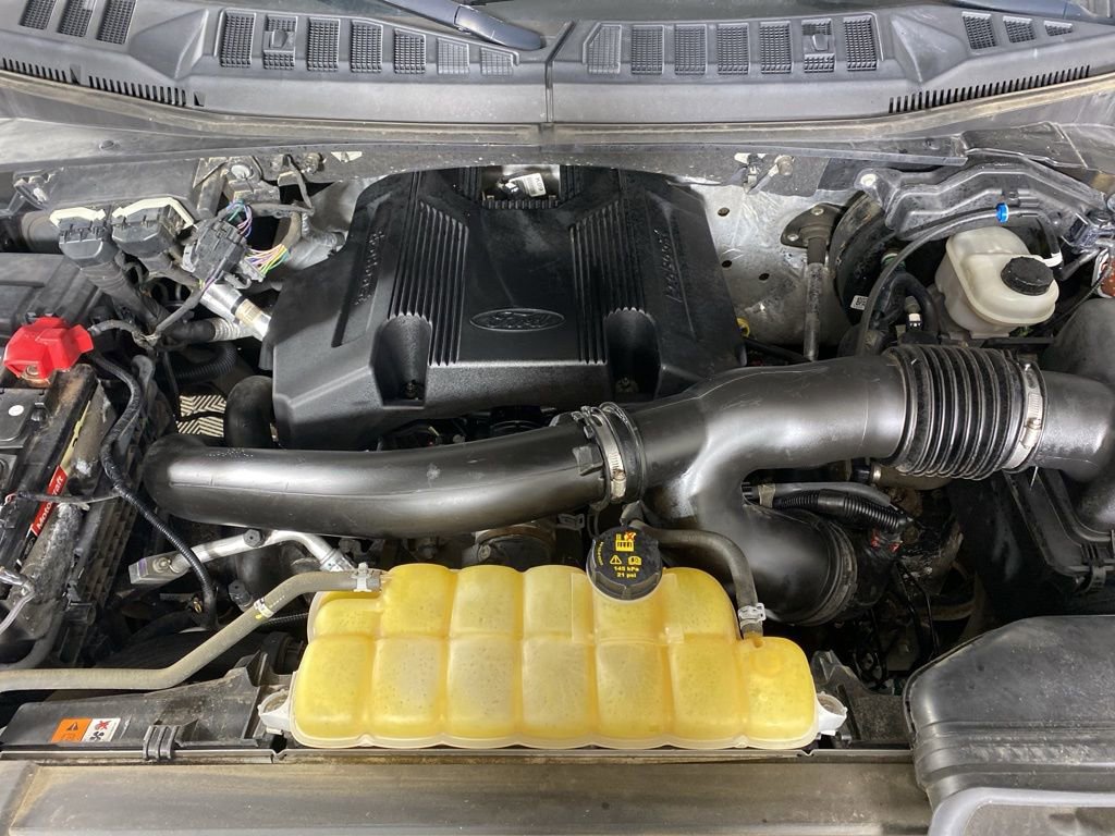 Used 2019 Ford F150 XLT w/ Equipment Group 302A Luxury image 12