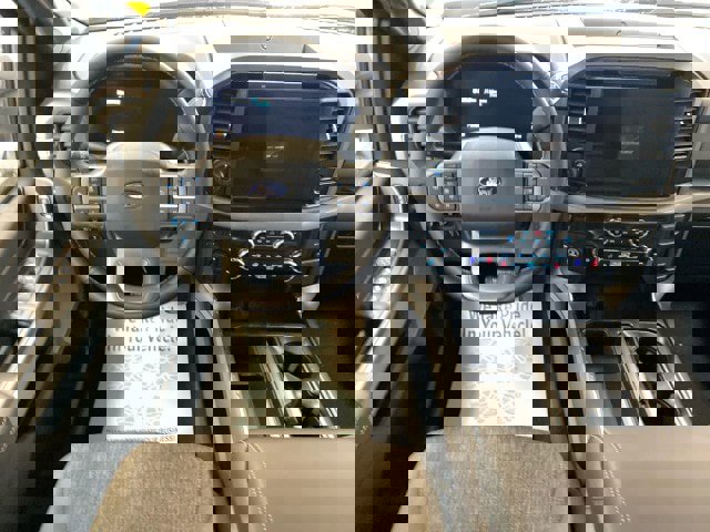 New 2025 Ford F150 XLT w/ Equipment Group 303A High image 11