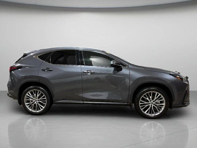 Used 2024 Lexus NX 350 AWD w/ Luxury Package image 2