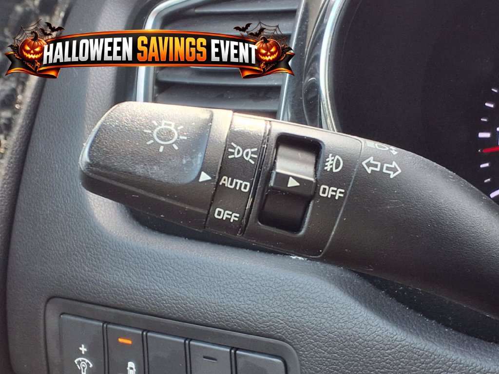 Used 2016 Kia Sedona SX FWD image 17