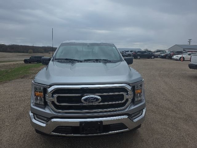 Used 2023 Ford F150 XLT w/ Equipment Group 302A High AWD/4WD image 8