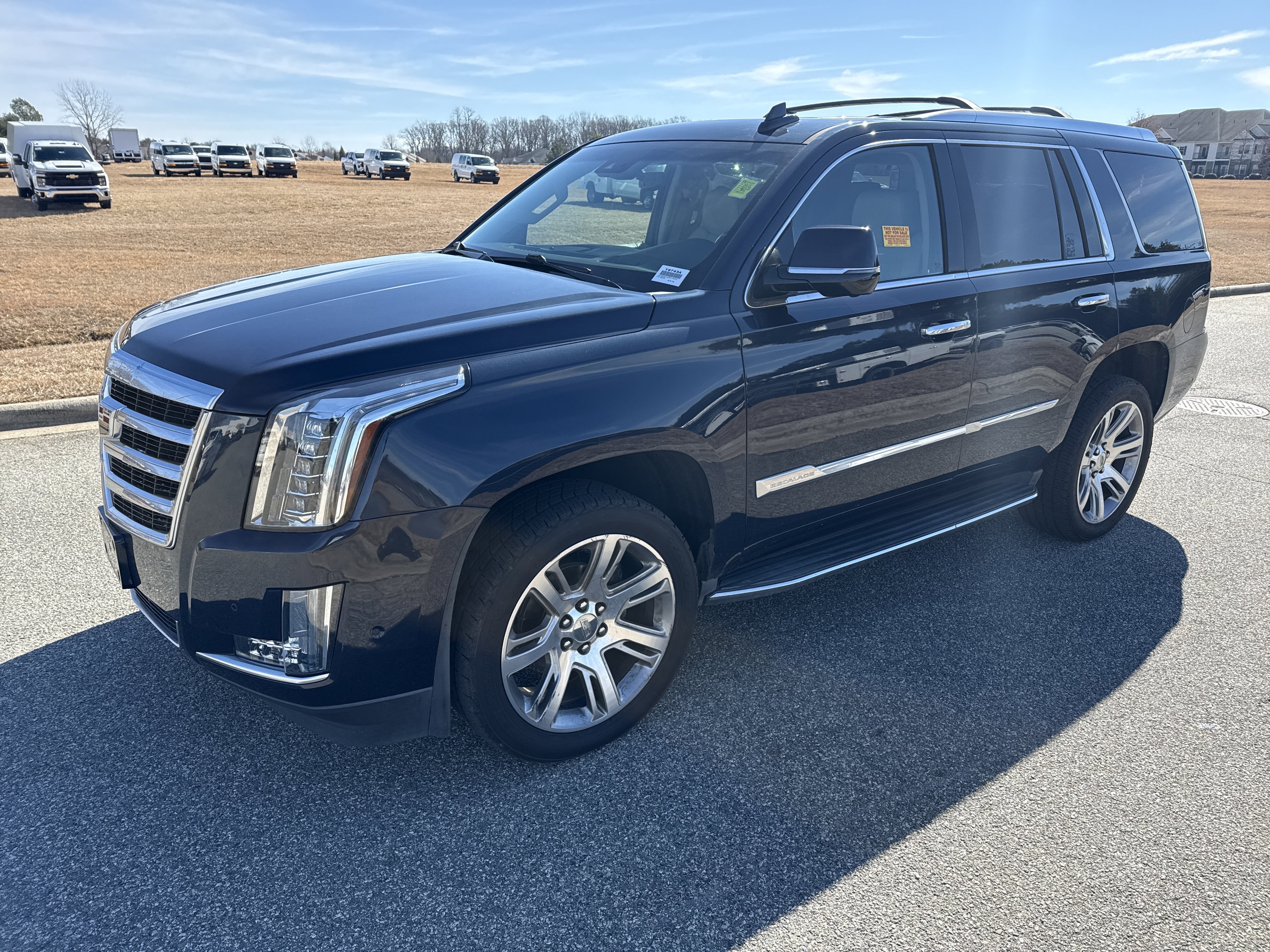 Used 2017 Cadillac Escalade Luxury image 5