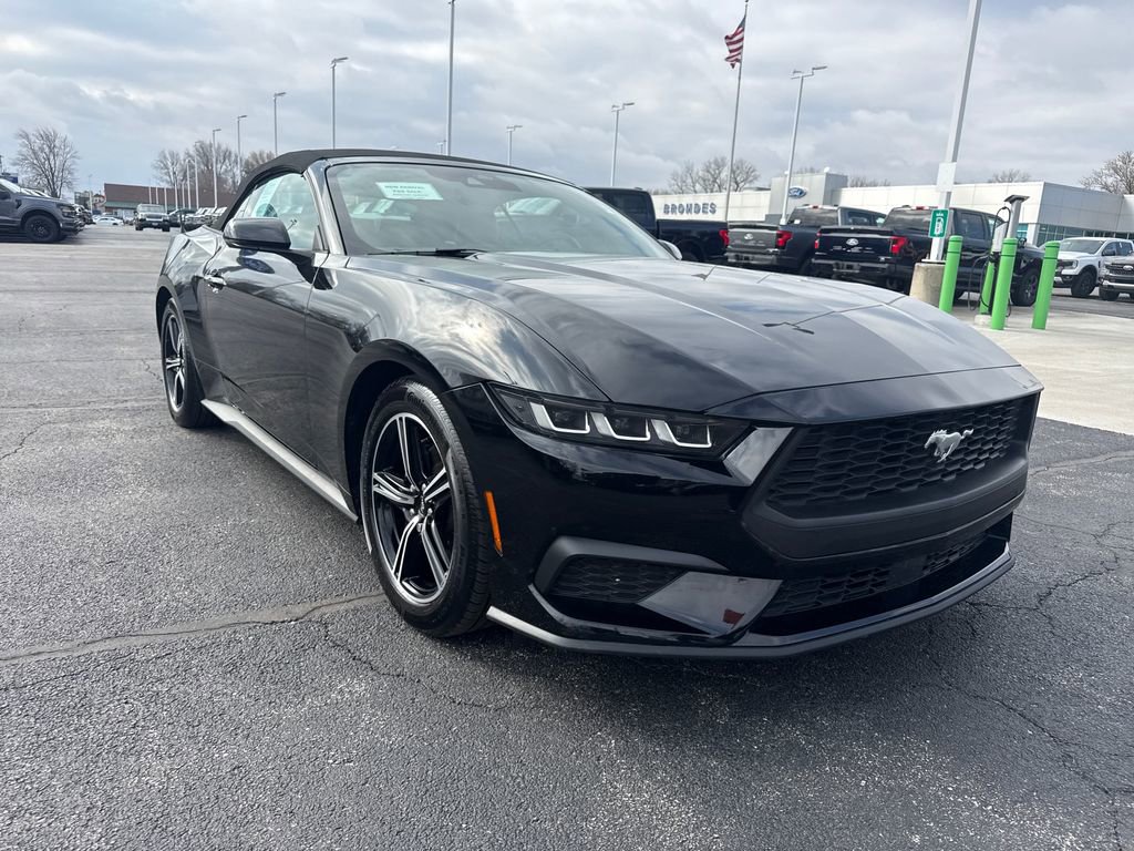 Used 2025 Ford Mustang Premium image 4