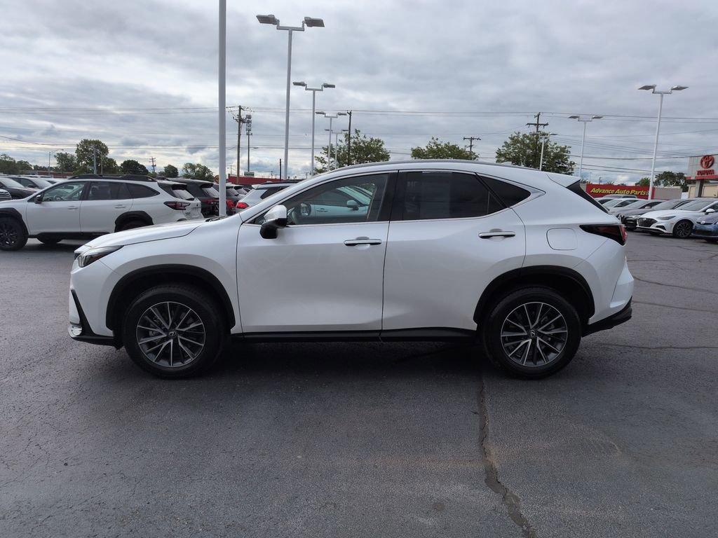 Used 2025 Lexus NX 350h AWD w/ Cold Area Package image 2