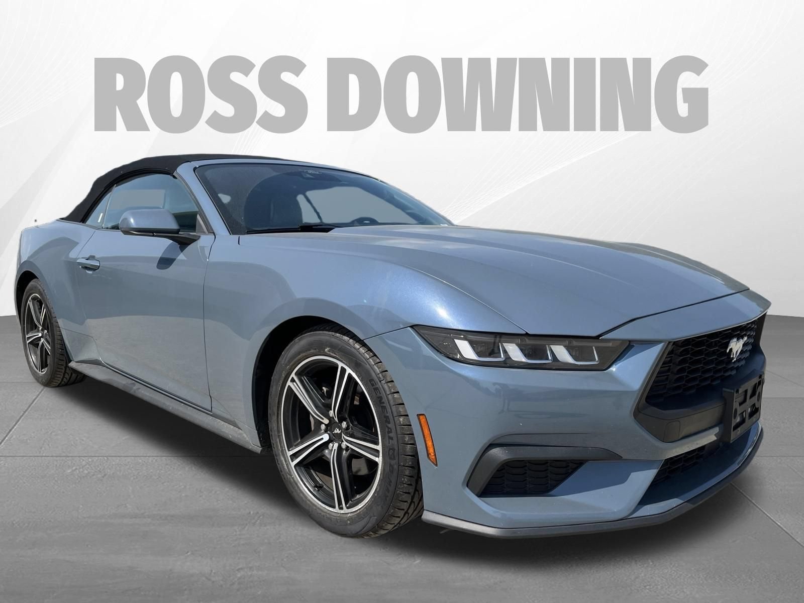 Used 2024 Ford Mustang Premium RWD image 3