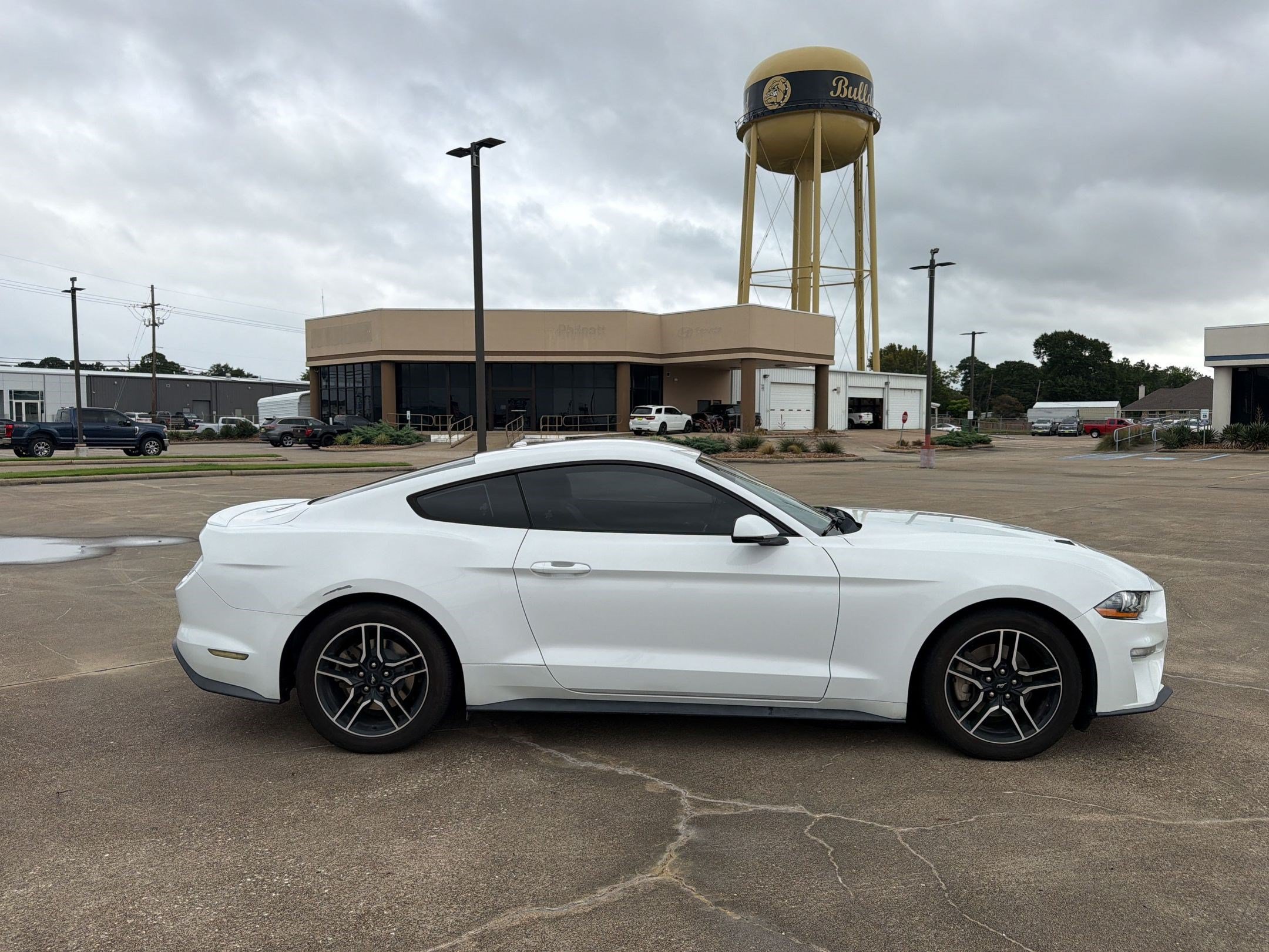 Used 2019 Ford Mustang Premium RWD image 8