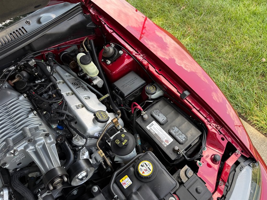 Used 2004 Ford Mustang Cobra RWD image 67