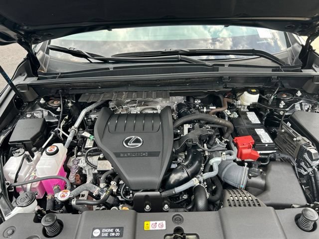 Used 2025 Lexus NX 350 AWD w/ Accessory Package (2T) image 9