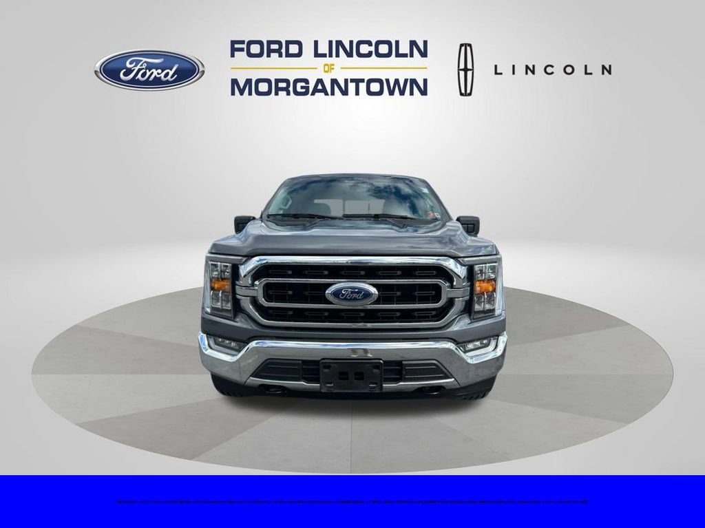 Used 2023 Ford F150 XLT w/ Equipment Group 302A High image 3