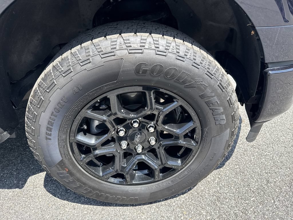 Used 2025 Ford F150 XLT w/ Equipment Group 301A Standard AWD/4WD image 12