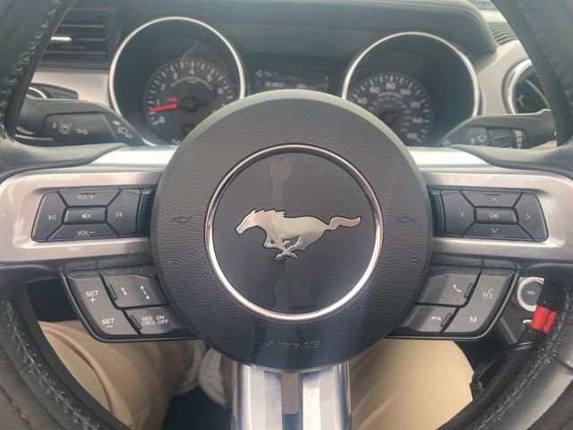 Used 2019 Ford Mustang GT Premium w/ Ford Safe & Smart Package image 15