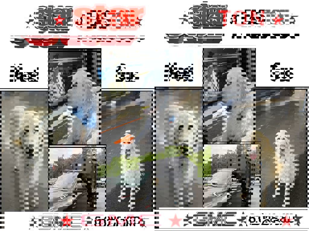 New 2026 GMC Savana 3500 w/ Power Convenience Package image 20