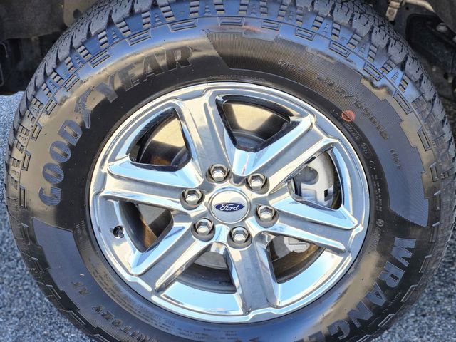 Used 2025 Ford F150 XLT w/ Equipment Group 301A Standard image 10