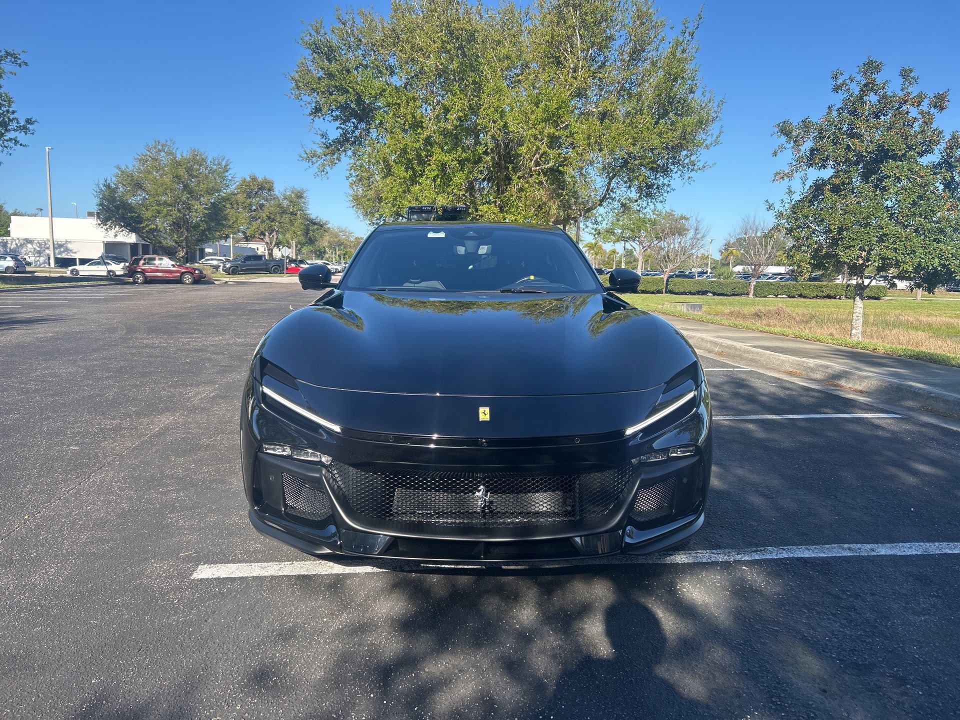 Used 2025 Ferrari Purosangue image 3