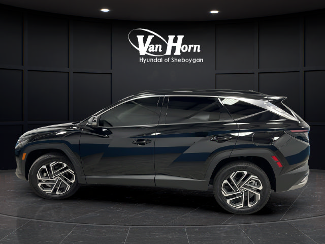 Used 2025 Hyundai Tucson Limited AWD/4WD image 4