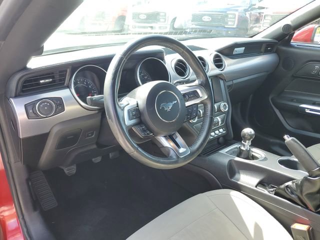 Used 2019 Ford Mustang GT w/ Equipment Group 301A image 25