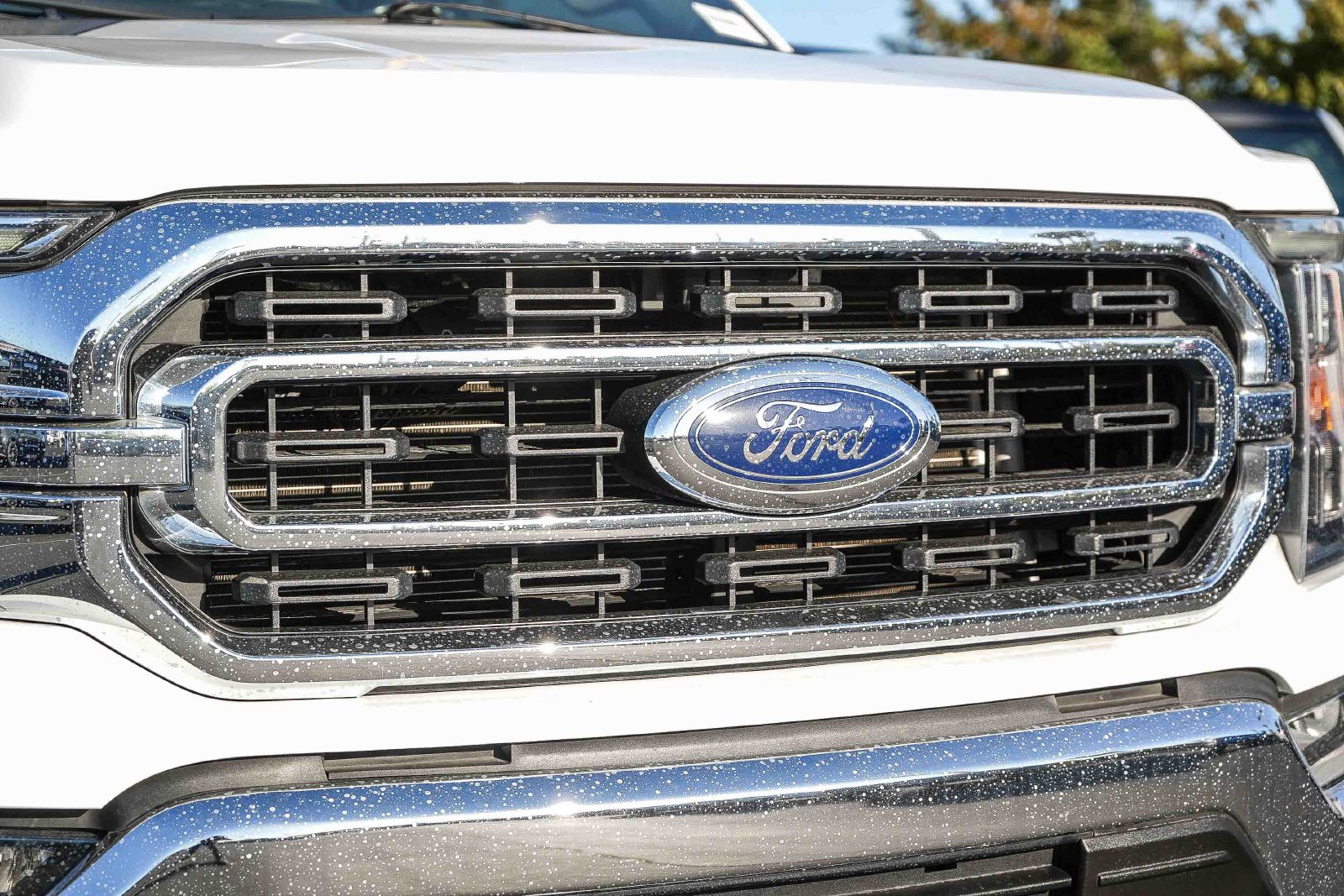 Certified 2022 Ford F150 XLT w/ Equipment Group 302A High RWD image 6