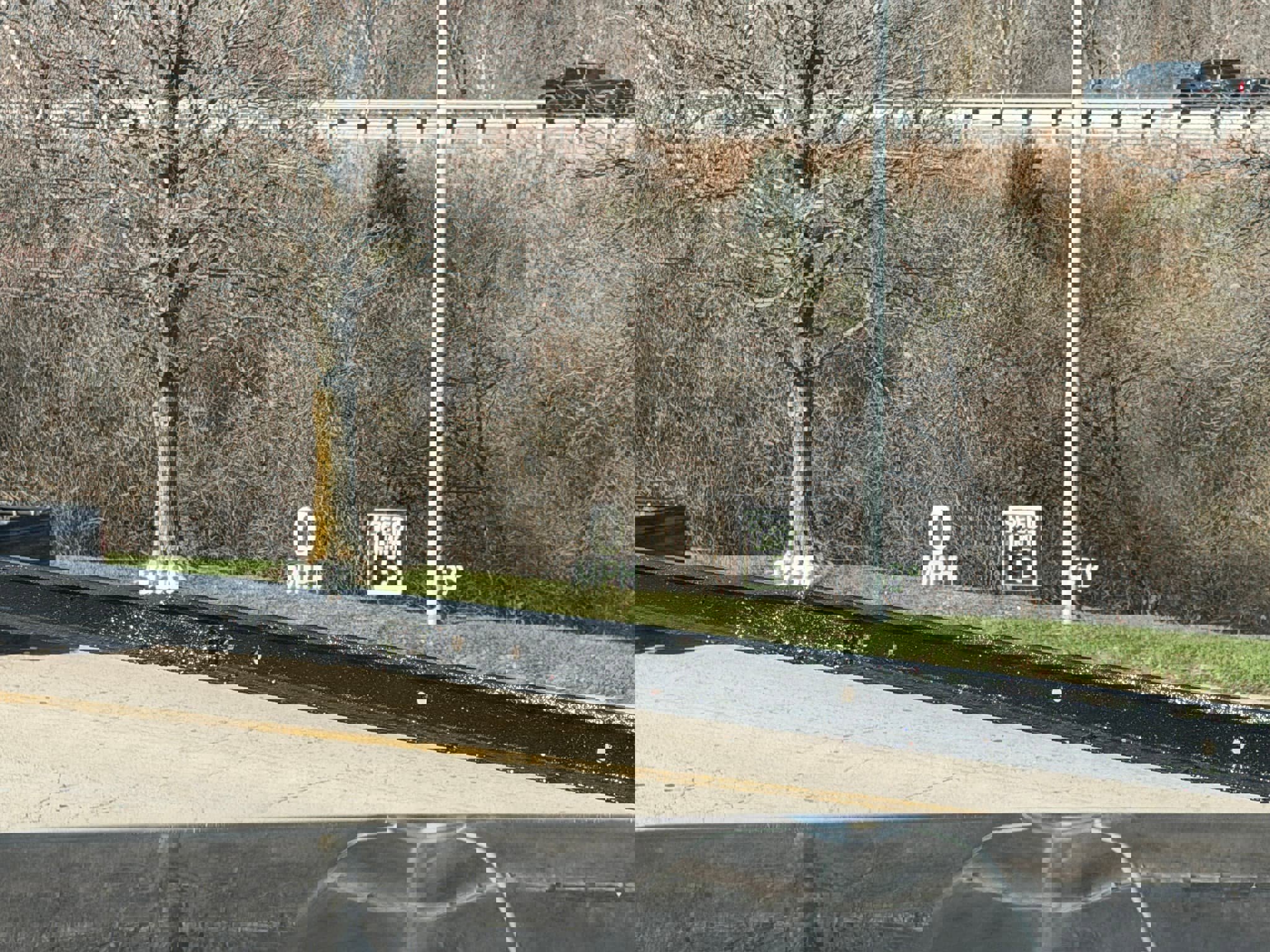 New 2025 Ford F250 Platinum image 28