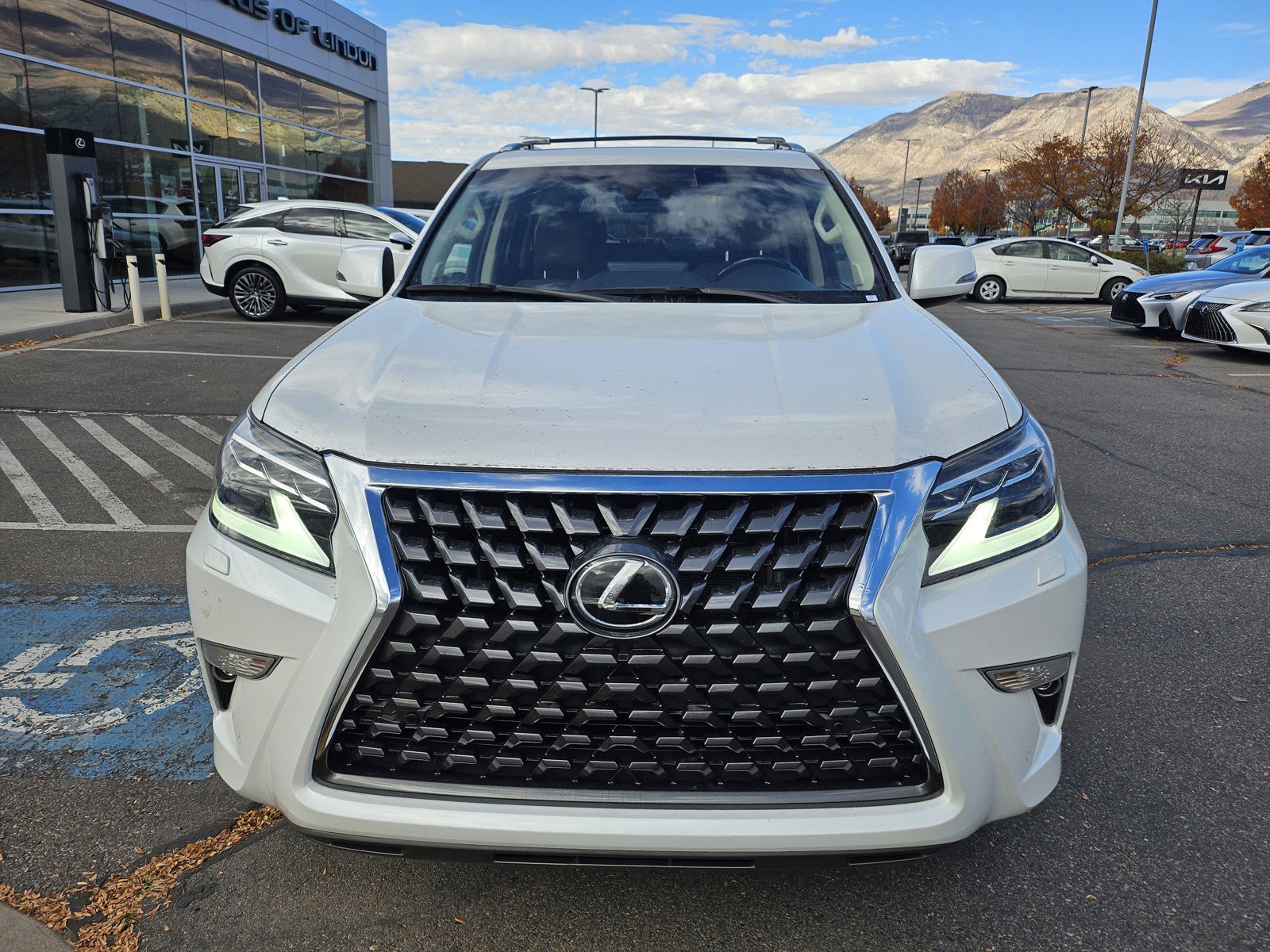 Used 2023 Lexus GX 460 Premium image 11