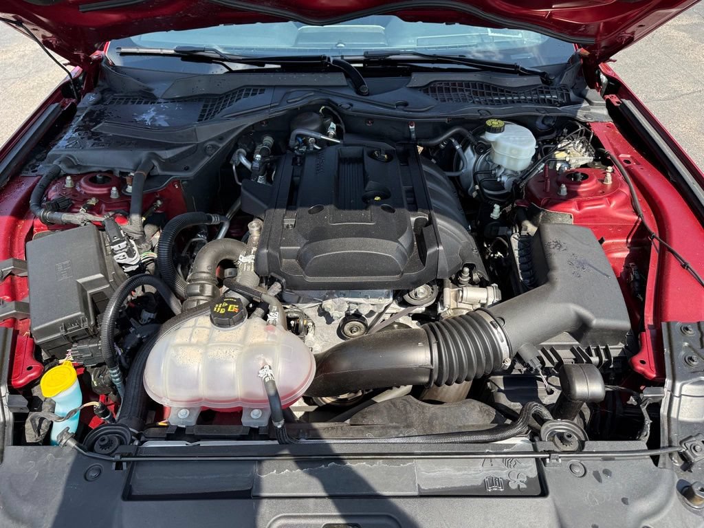 Used 2019 Ford Mustang Coupe w/ Equipment Group 101A RWD image 17