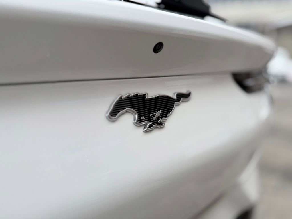 Used 2024 Ford Mustang Mach-E Premium image 29