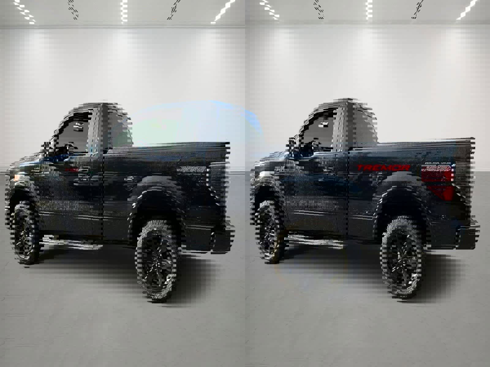 Used 2014 Ford F150 FX4 w/ FX Appearance Package AWD/4WD image 3