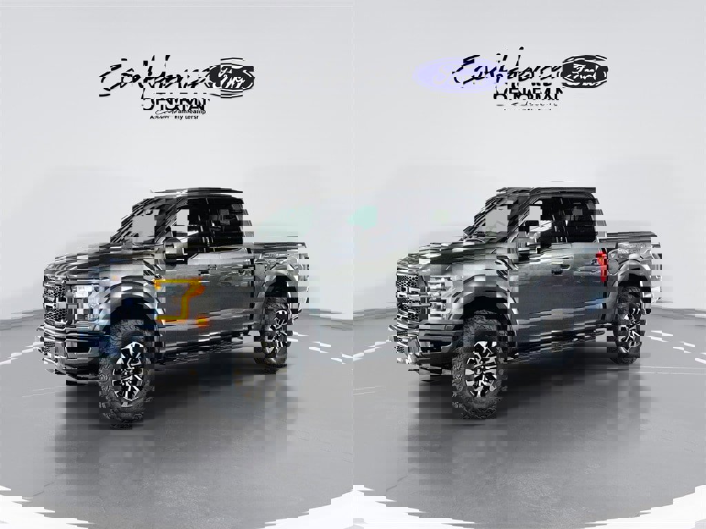 Used 2019 Ford F150 Raptor w/ Equipment Group 802A Luxury image 4