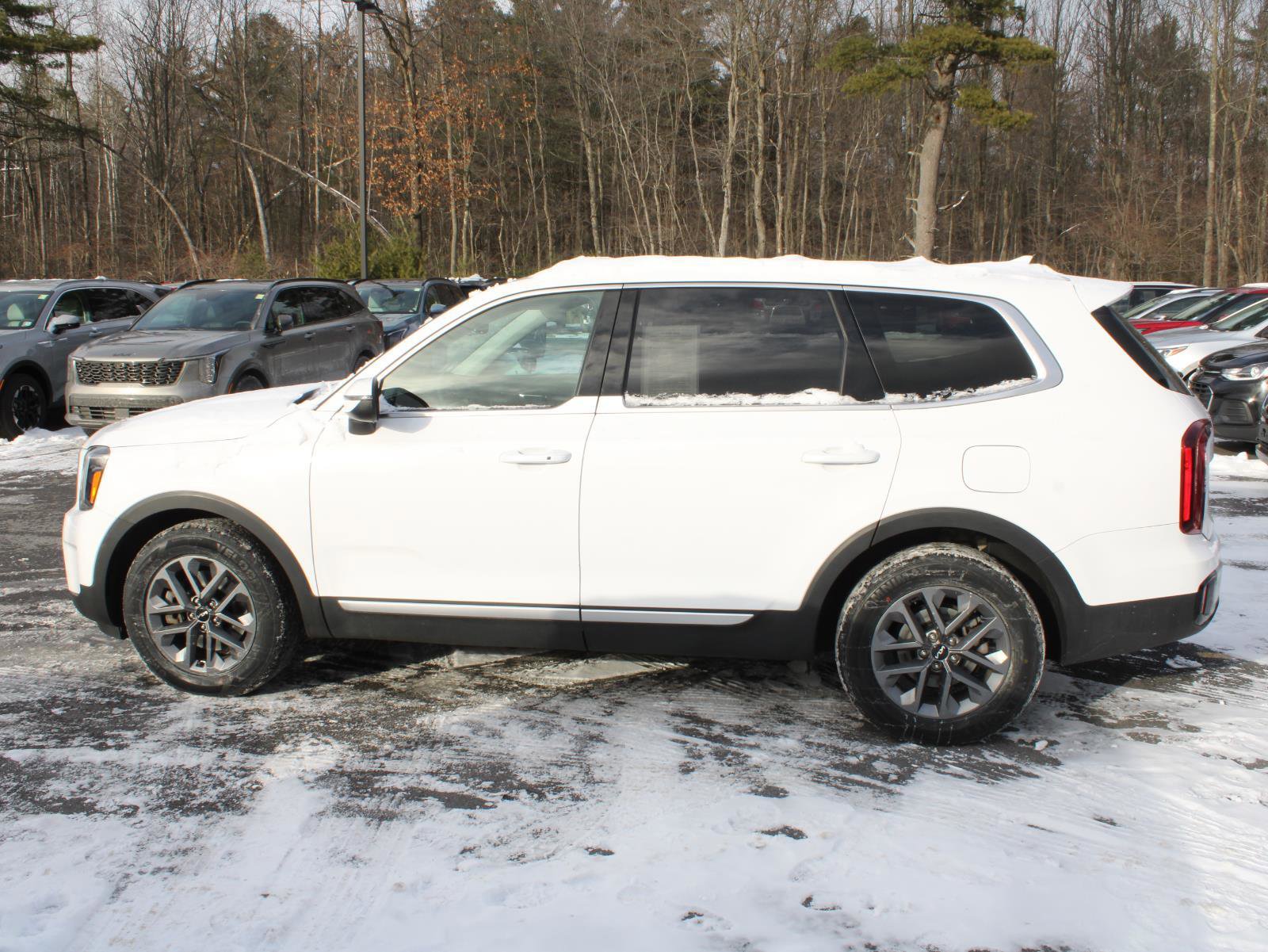 Used 2024 Kia Telluride LX image 5