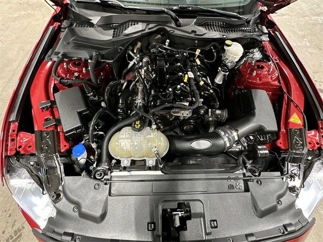 Used 2023 Ford Mustang Coupe w/ Equipment Group 101A image 21