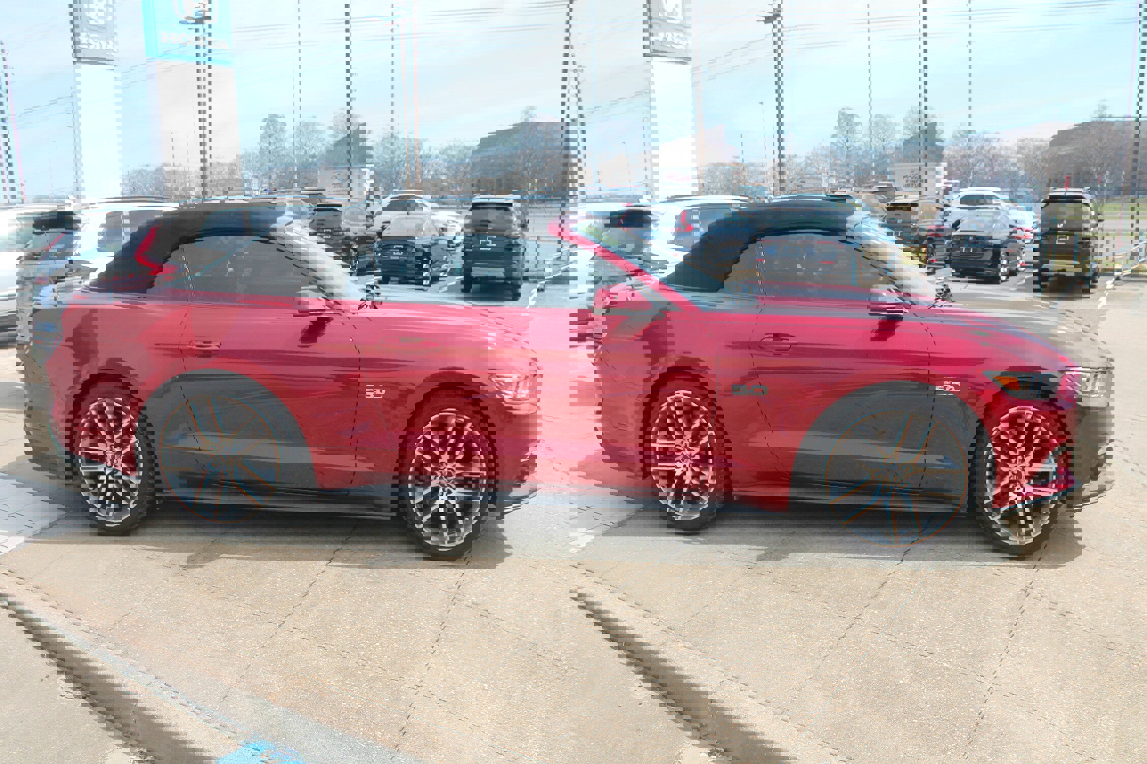 Used 2017 Ford Mustang GT Premium w/ Equipment Group 401A image 3