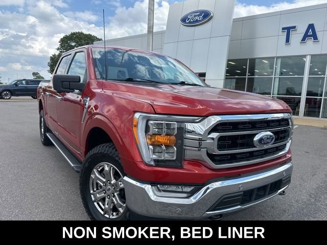 Used 2023 Ford F150 XLT w/ Equipment Group 302A High AWD/4WD image 3