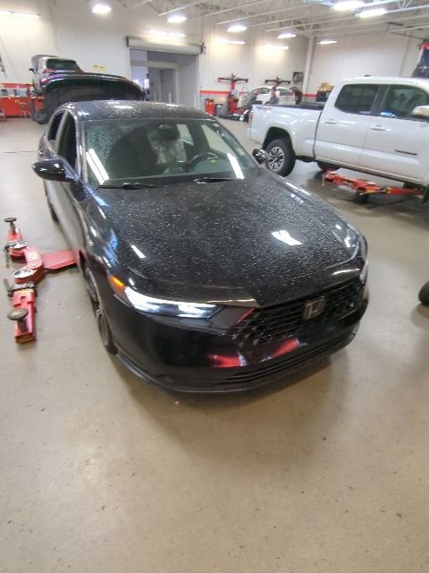 Used 2023 Honda Accord Sport image 2