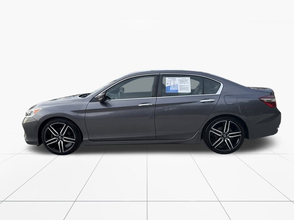 Used 2017 Honda Accord Sport image 5