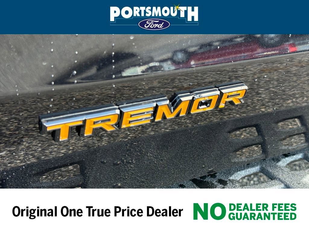 New 2025 Ford Expedition Tremor image 24