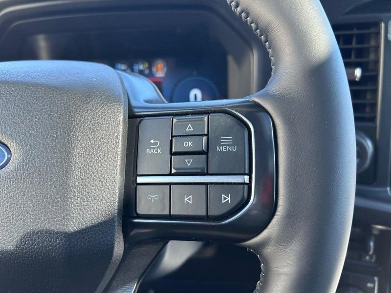 New 2025 Ford F150 Platinum w/ Equipment Group 702A High image 14