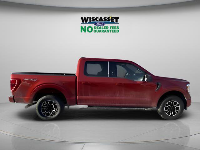 Certified 2023 Ford F150 XLT w/ Equipment Group 302A High image 7