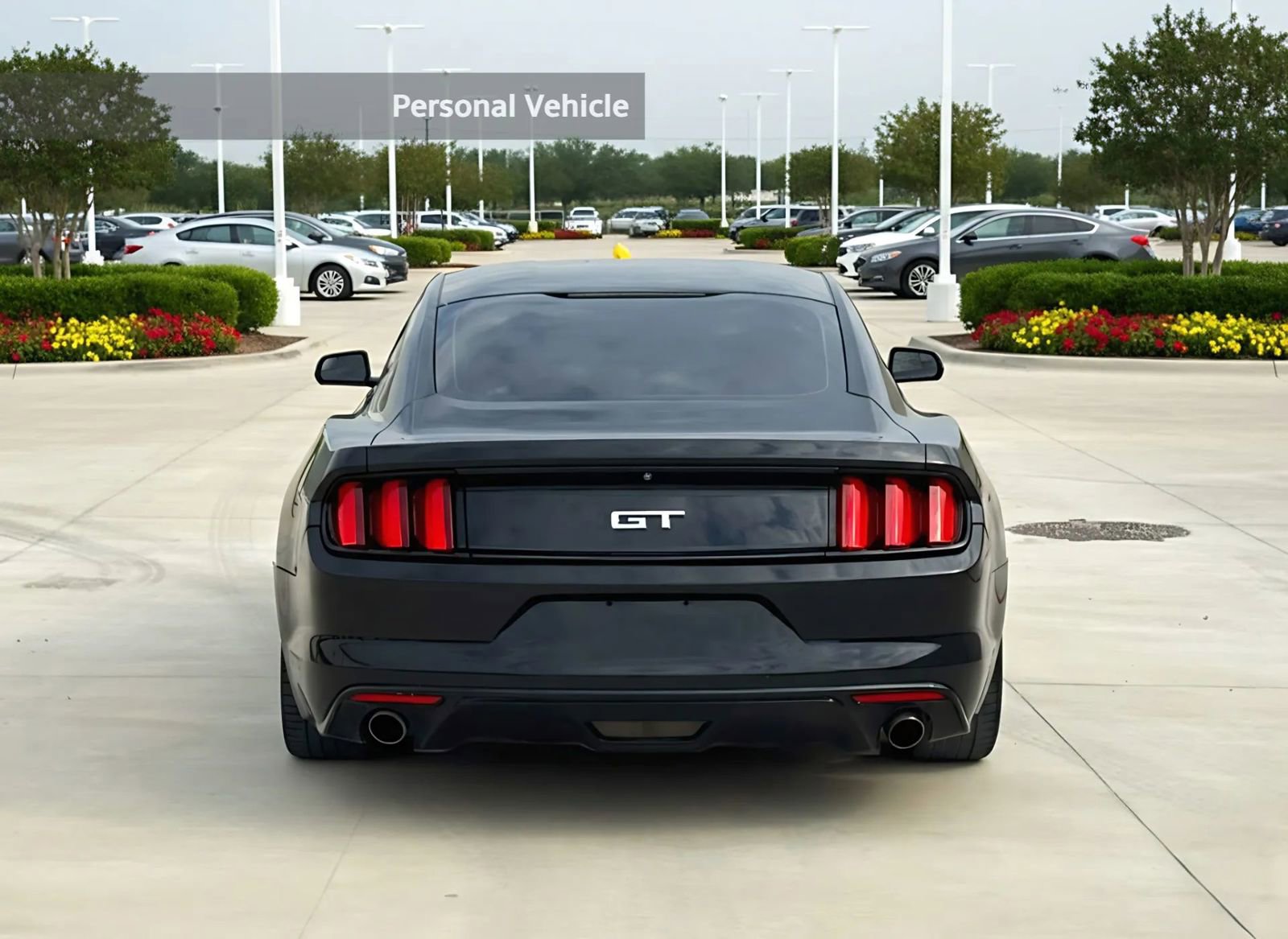 Used 2016 Ford Mustang GT w/ GT Performance Package image 3