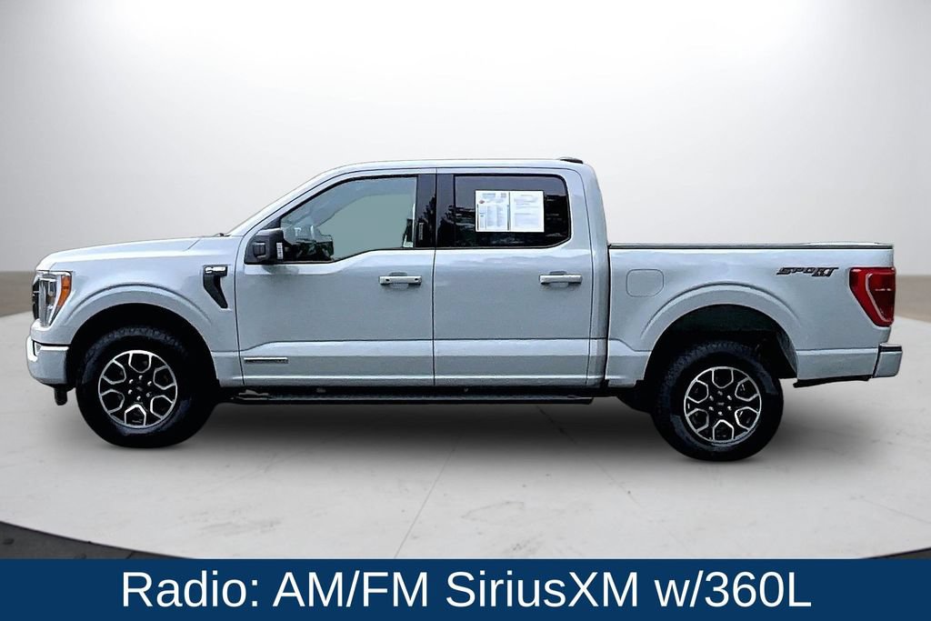 Used 2023 Ford F150 XLT w/ Equipment Group 302A High AWD/4WD image 5