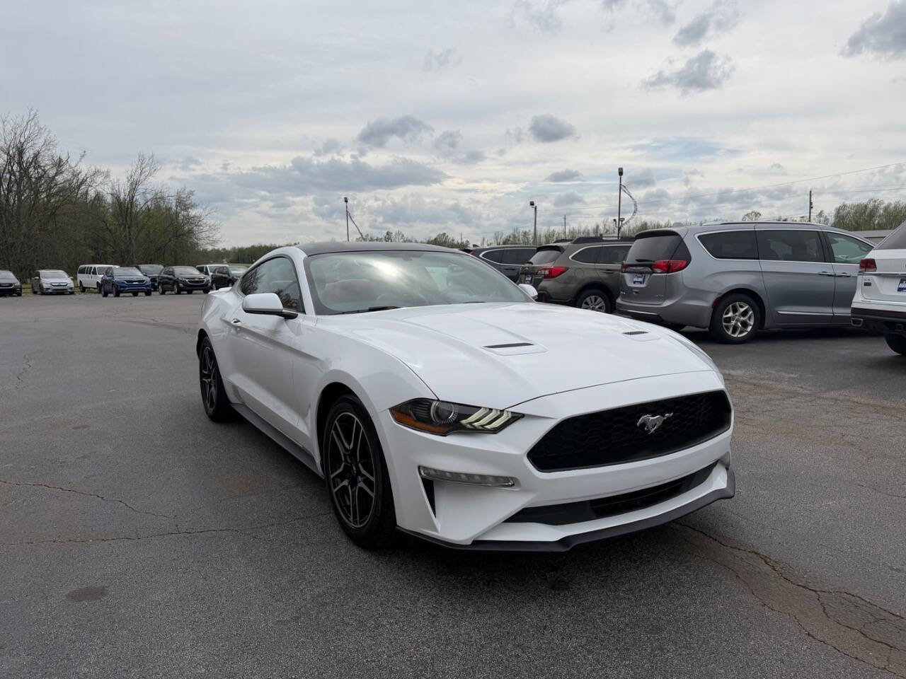 Used 2019 Ford Mustang Coupe w/ Equipment Group 101A RWD image 4