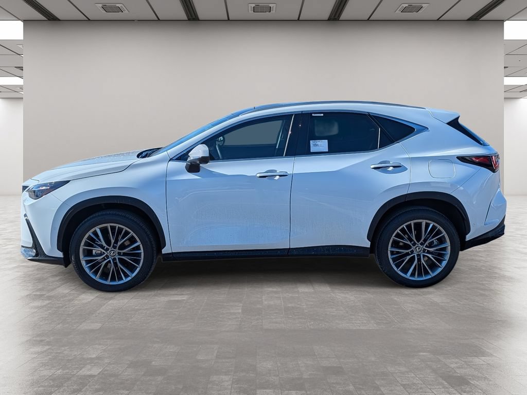 Certified 2026 Lexus NX 350 AWD w/ Cold Area Package image 4