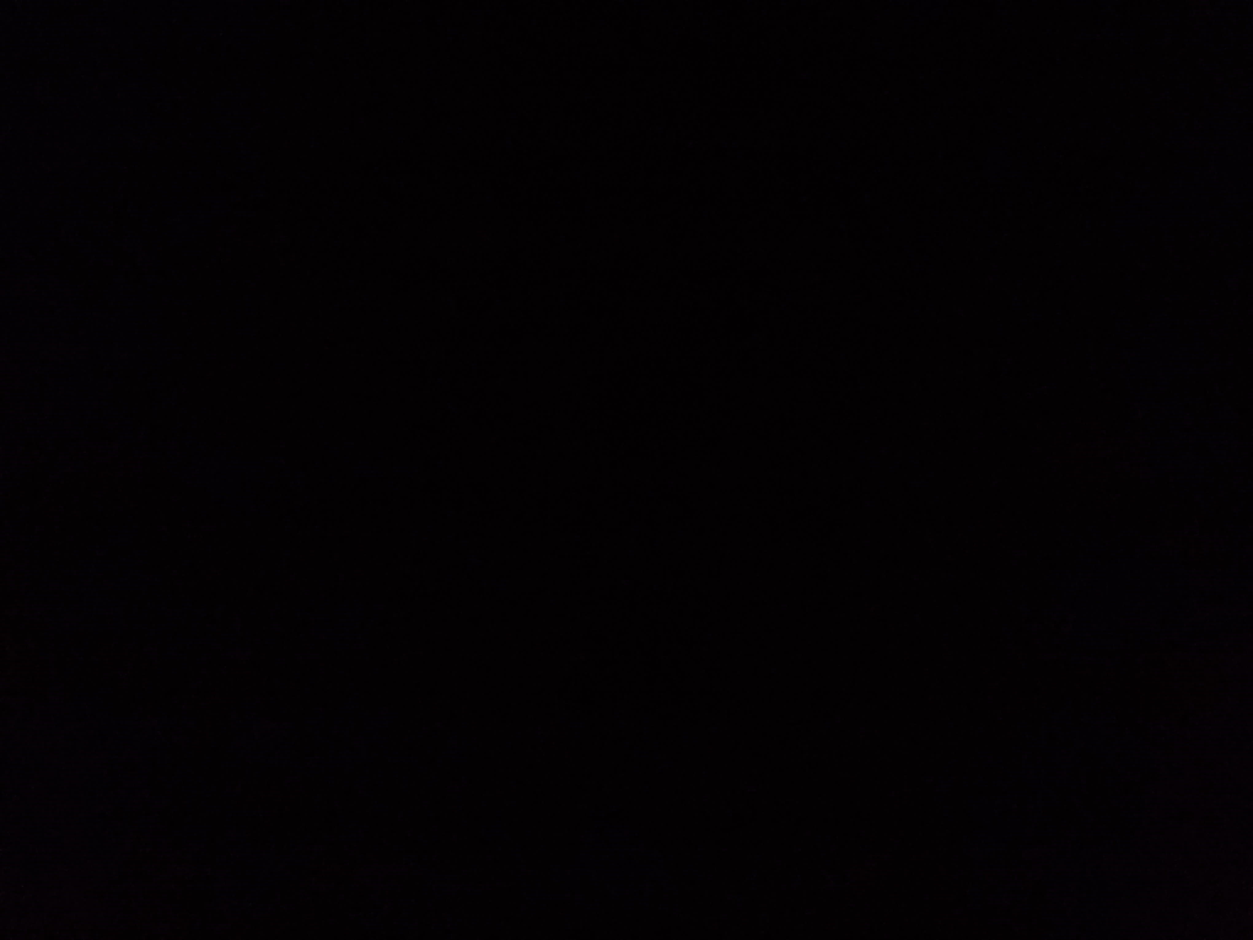 Used 2025 Audi RS 7 Performance image 12