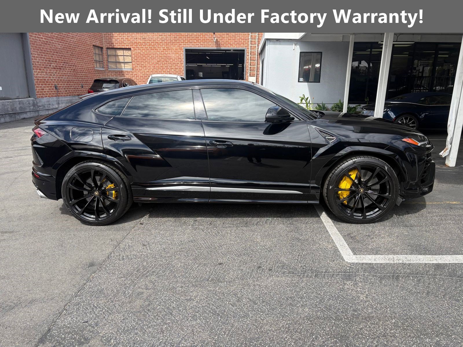 Used 2021 Lamborghini Urus