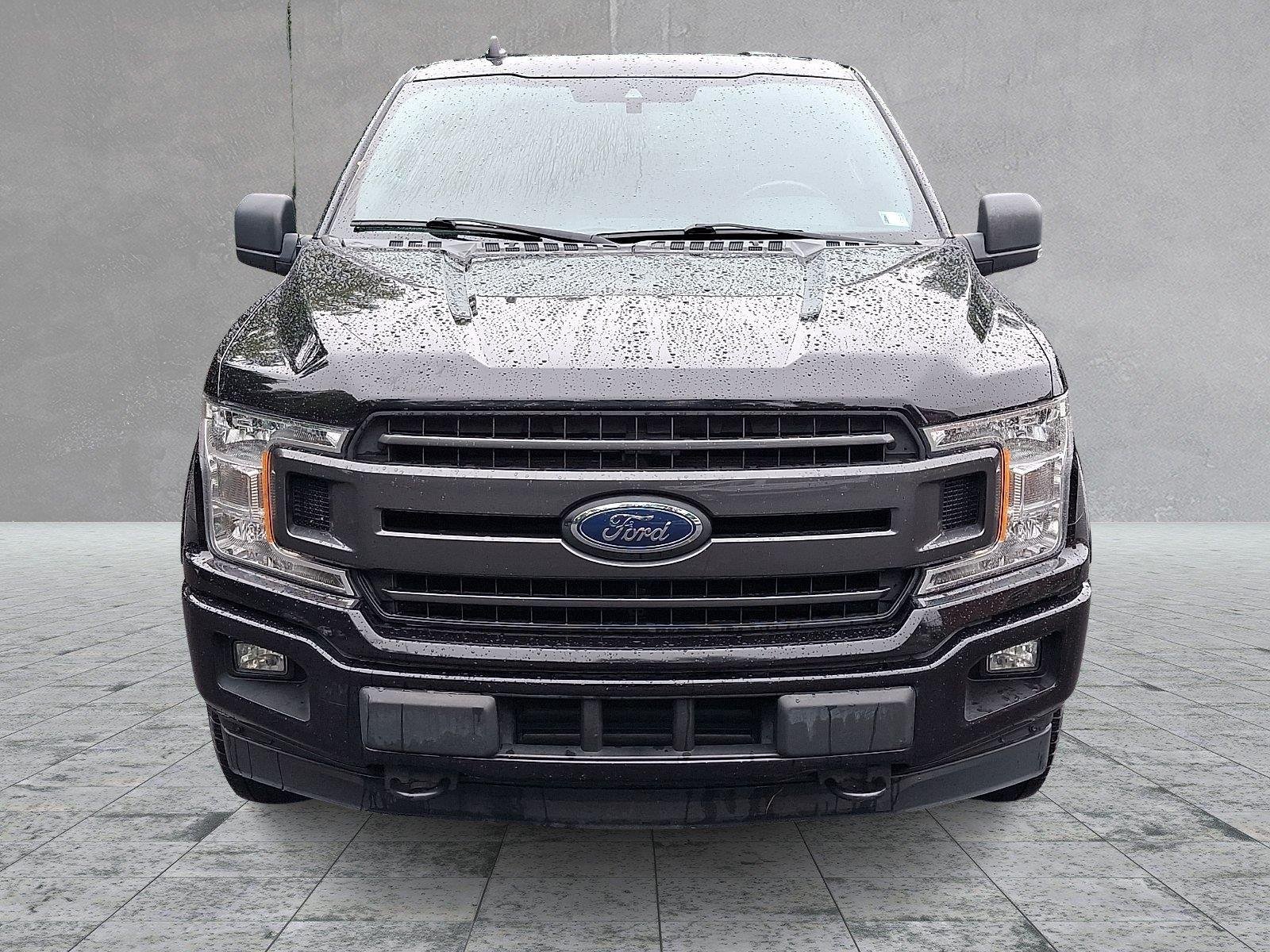 Used 2019 Ford F150 XLT w/ Equipment Group 302A Luxury AWD/4WD image 2