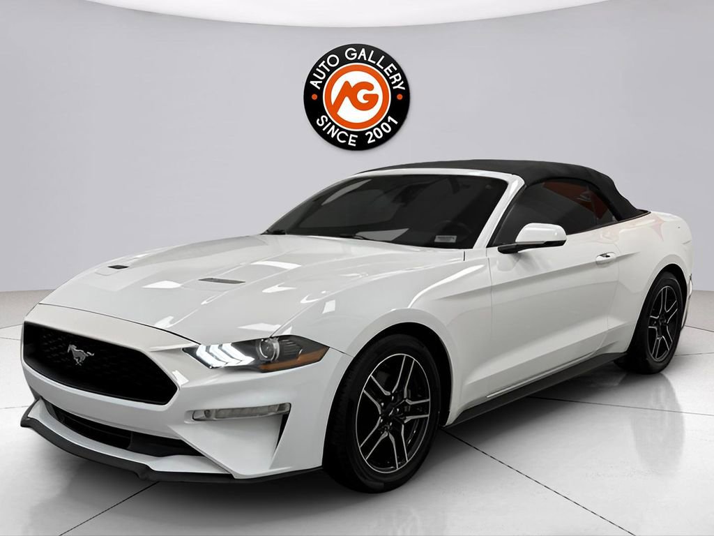 Used 2019 Ford Mustang Premium image 4