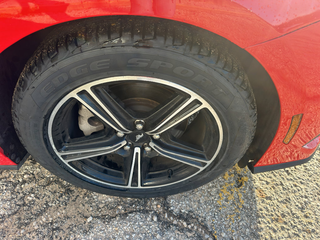 Used 2024 Ford Mustang EcoBoost image 17