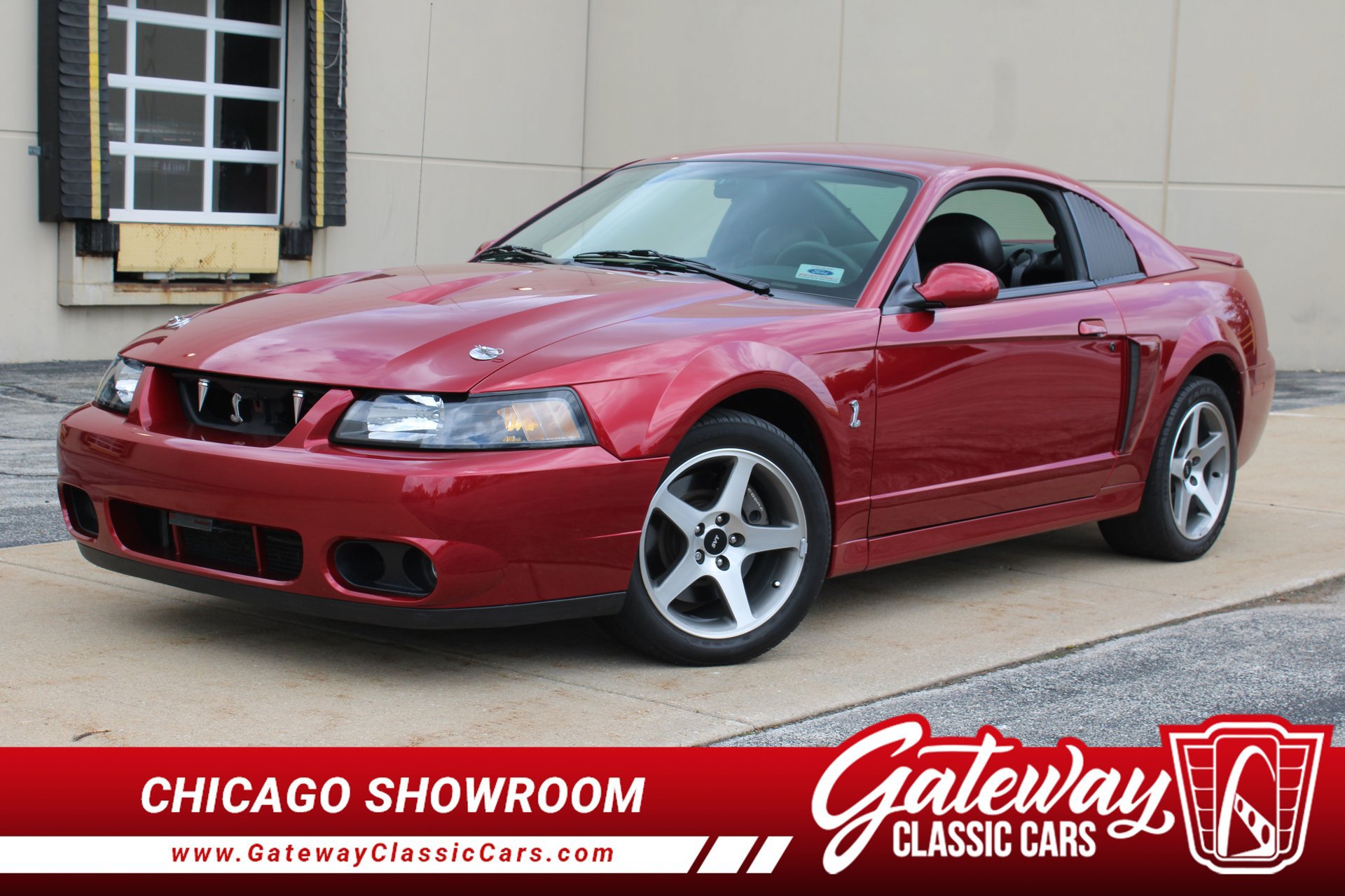 Used 2003 Ford Mustang Cobra