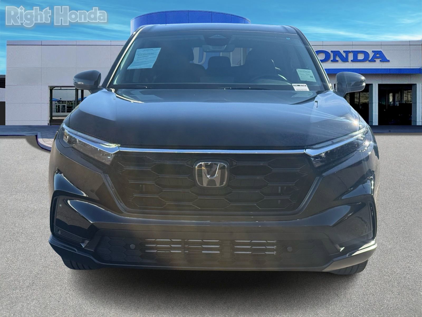 Used 2024 Honda CR-V EX-L image 5