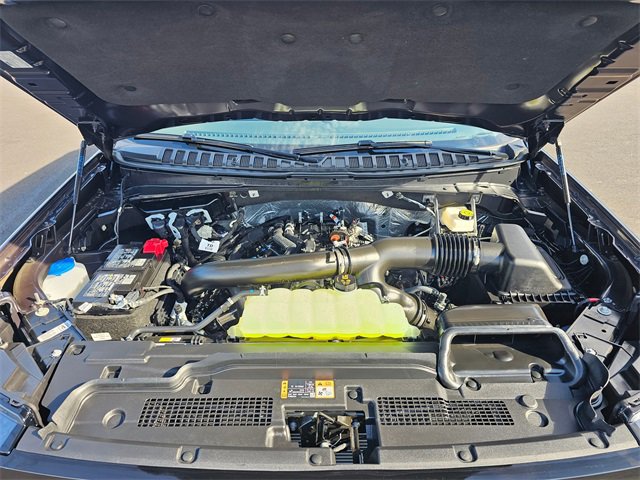 New 2025 Ford Expedition Active image 9